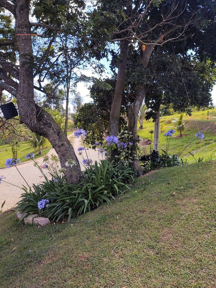 Sítio, 4 quartos, 2 hectares - Foto 3