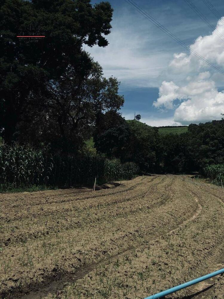 Sítio, 3 quartos, 14 hectares - Foto 4