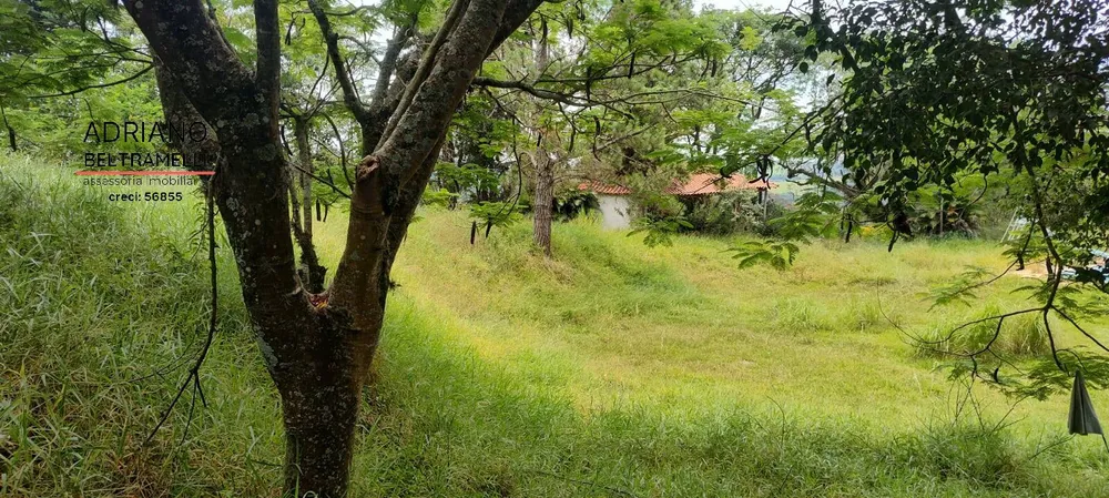 Chácara, 4 quartos, 6 hectares - Foto 15