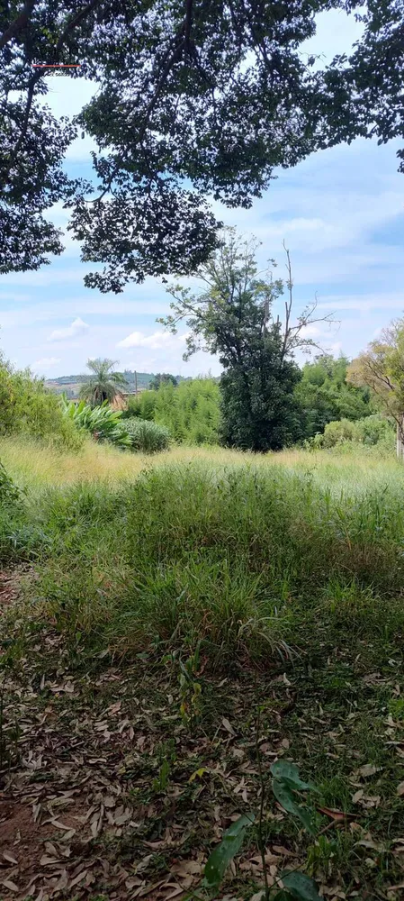 Chácara, 4 quartos, 6 hectares - Foto 12