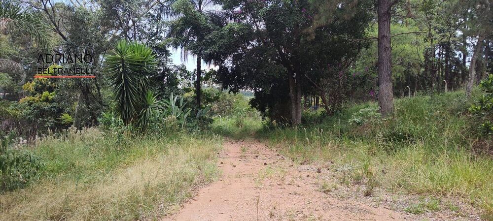 Chácara, 4 quartos, 6 hectares - Foto 2