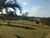 Sítio, 3 quartos, 3 hectares - Foto 1