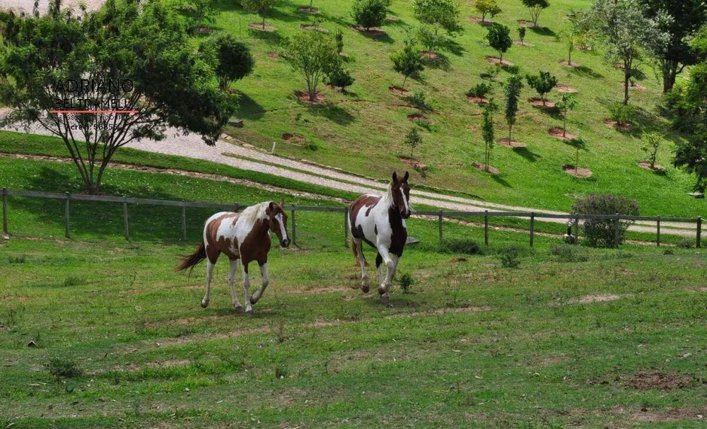 Sítio, 5 quartos, 3 hectares - Foto 12