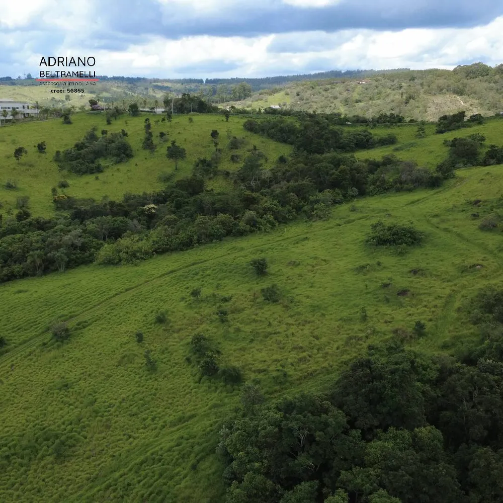 Terreno, 4 hectares - Foto 11