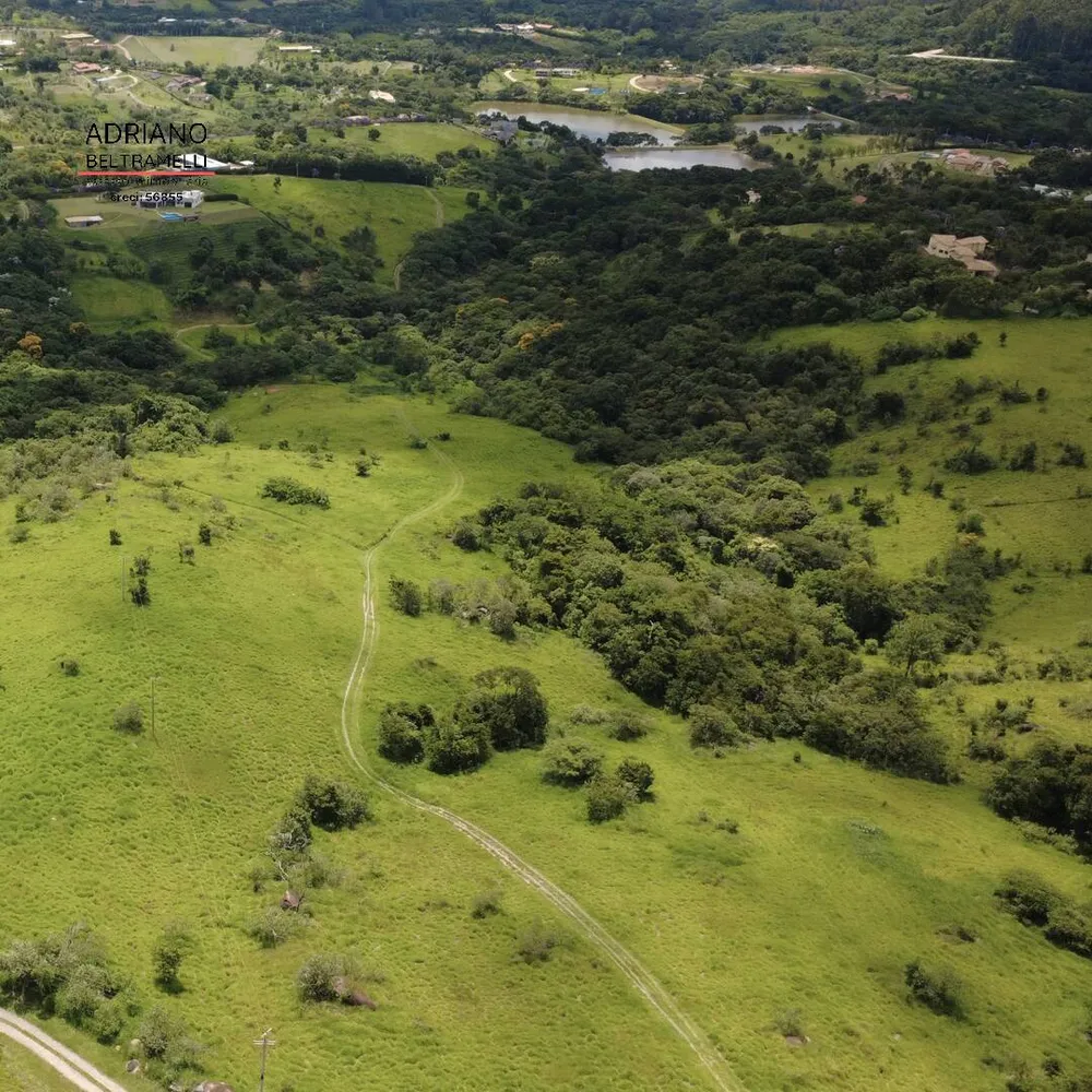 Terreno, 4 hectares - Foto 7