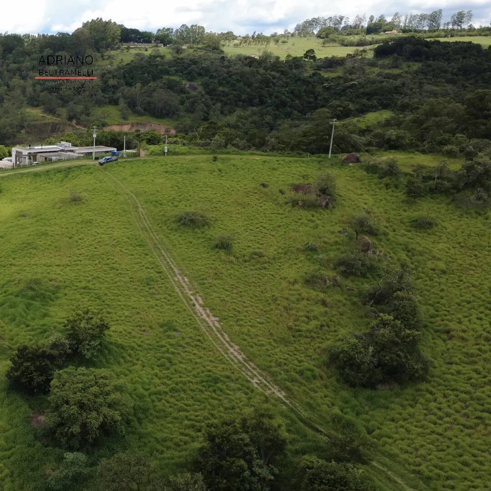 Terreno, 4 hectares - Foto 6