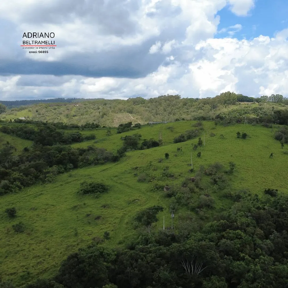 Terreno, 4 hectares - Foto 9