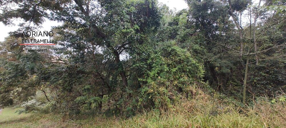 Terreno, 2500 m² - Foto 6