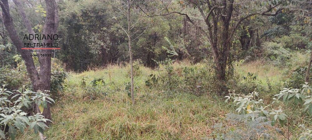 Terreno, 2500 m² - Foto 4