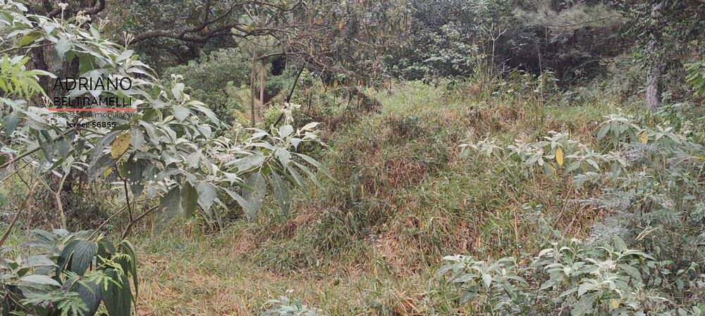 Terreno, 2500 m² - Foto 5