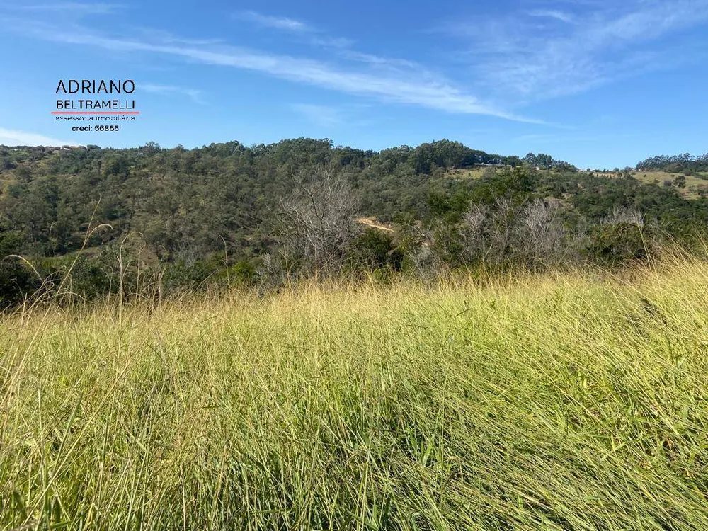 Terreno, 2 hectares - Foto 7