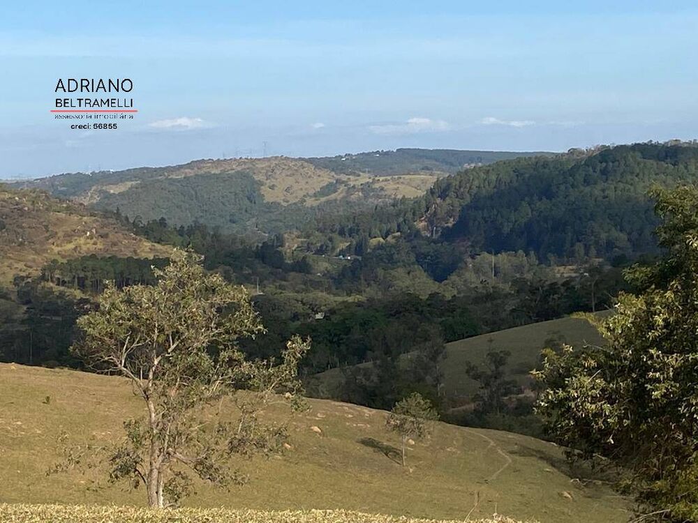 Terreno, 54 hectares - Foto 4