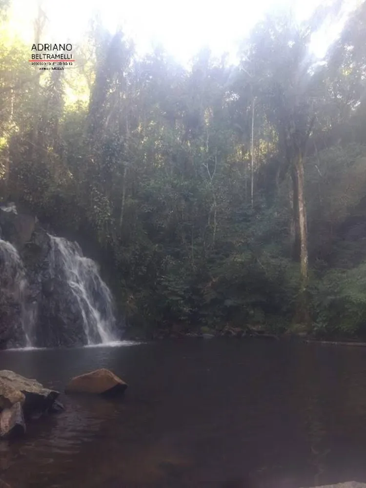 Fazenda, 310 hectares - Foto 10
