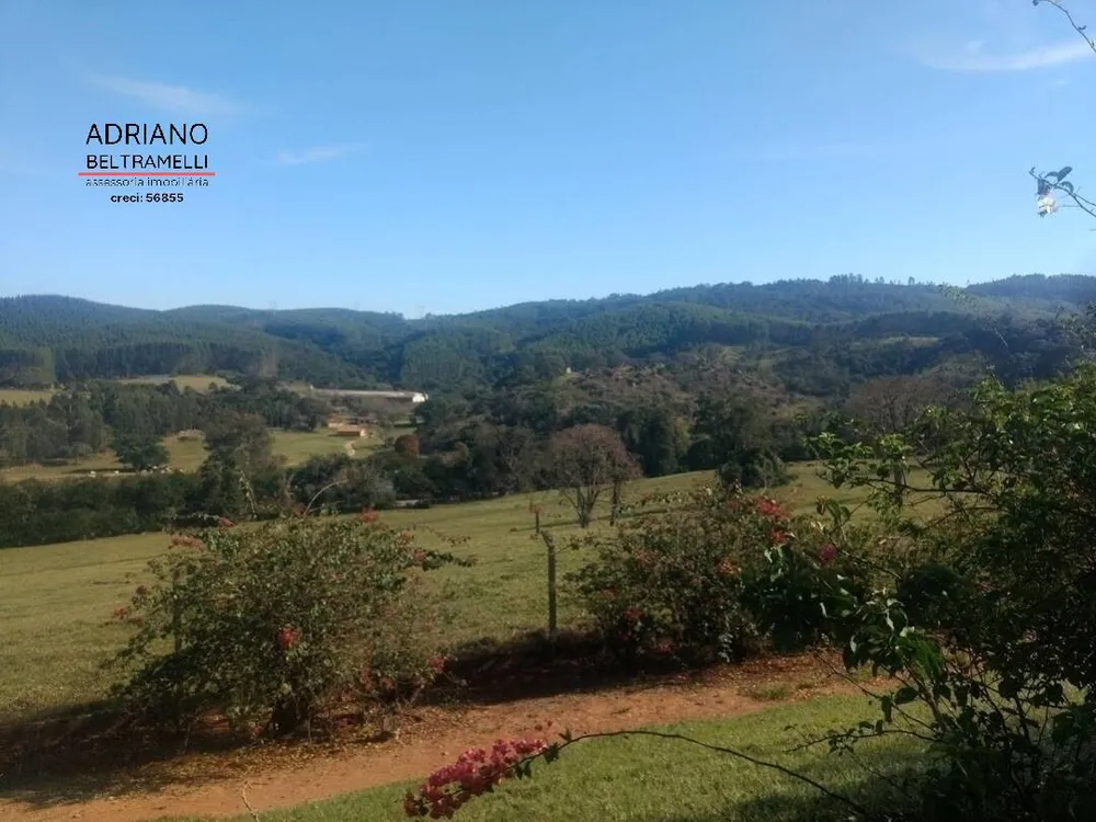 Fazenda, 310 hectares - Foto 19