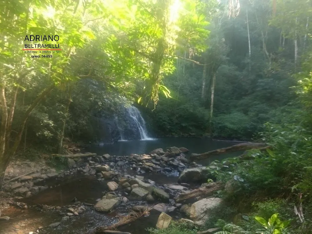Fazenda, 310 hectares - Foto 11