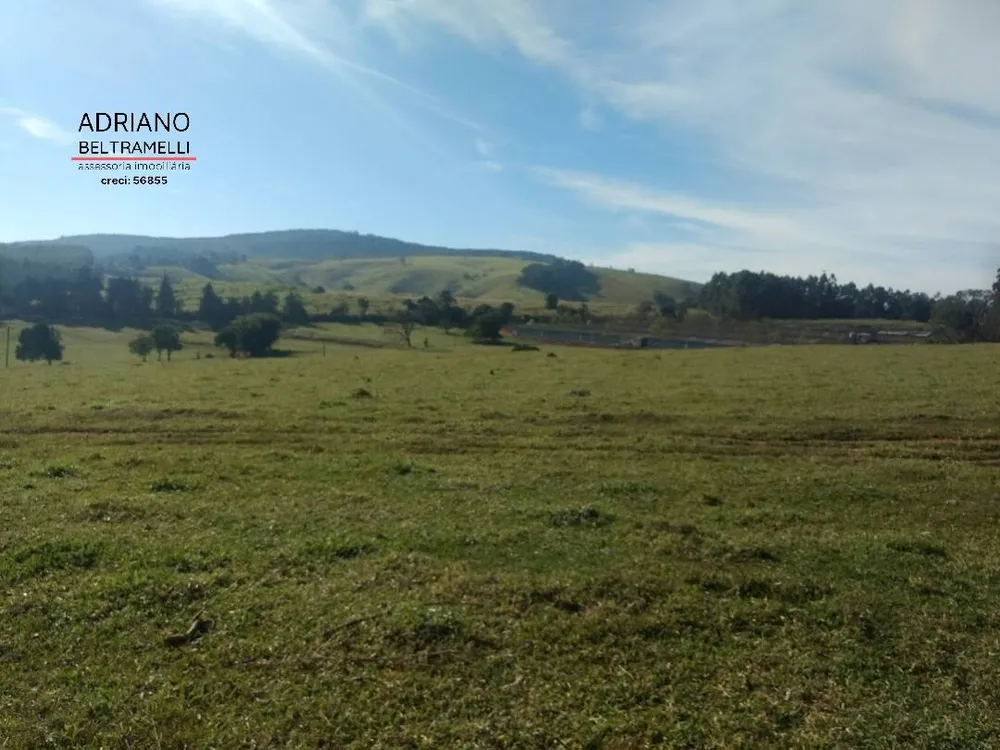 Fazenda, 310 hectares - Foto 13