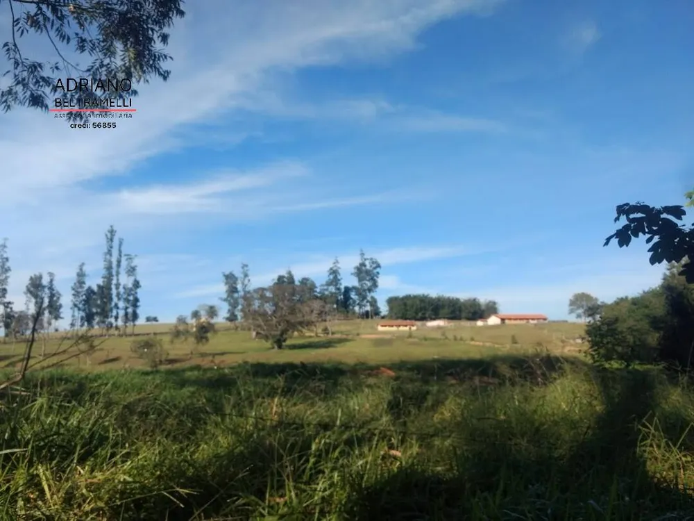 Fazenda, 310 hectares - Foto 2