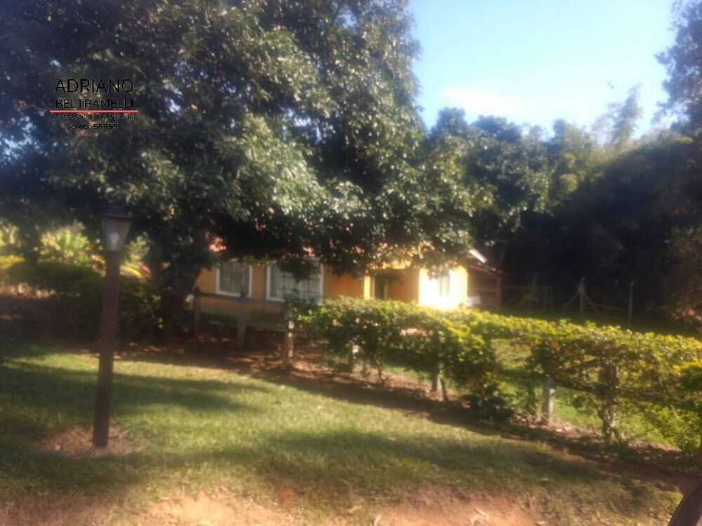 Fazenda, 310 hectares - Foto 3