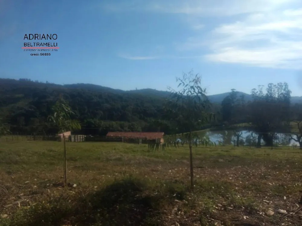 Fazenda, 310 hectares - Foto 18