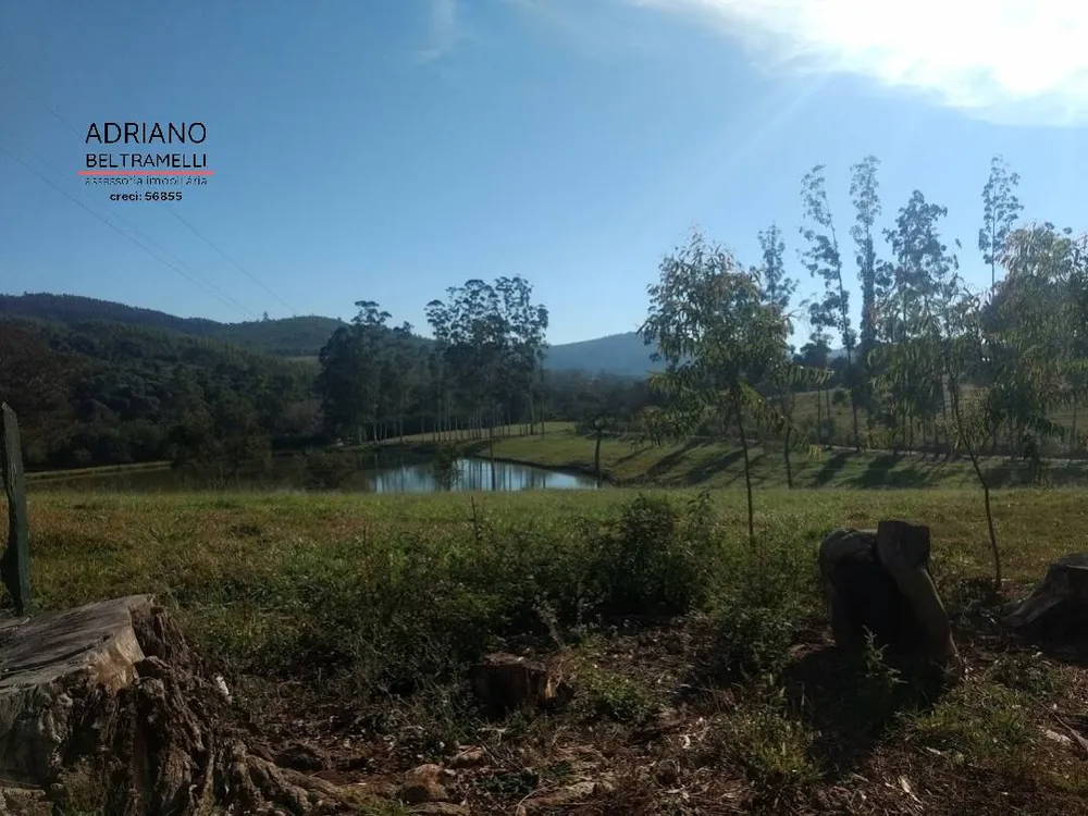 Fazenda, 310 hectares - Foto 12