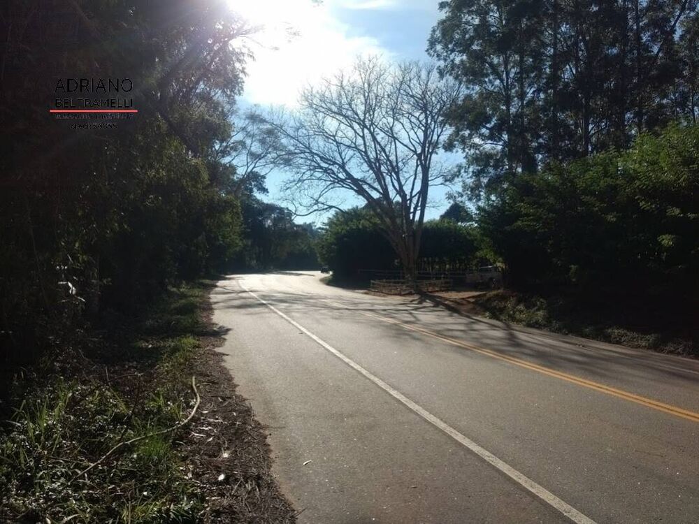 Fazenda, 310 hectares - Foto 4