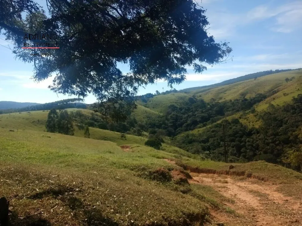 Fazenda, 310 hectares - Foto 17