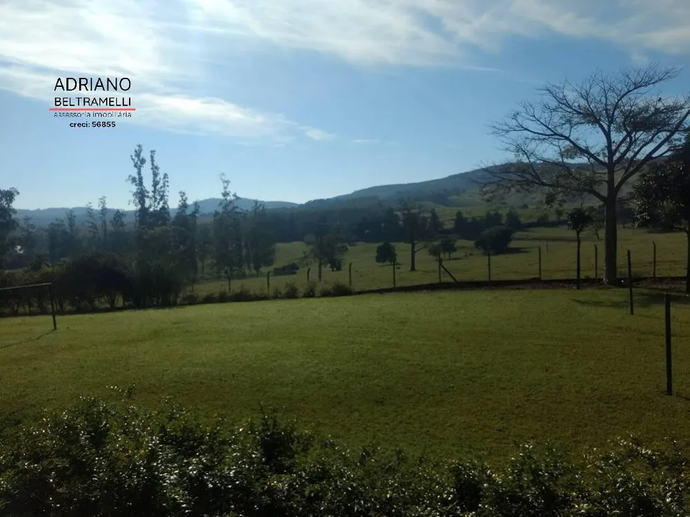 Fazenda, 310 hectares - Foto 3