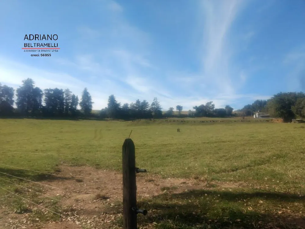 Fazenda, 310 hectares - Foto 20