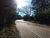Fazenda, 310 hectares - Foto 4