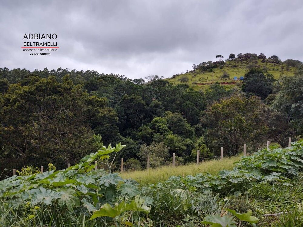 Sítio, 1 quarto, 4 hectares - Foto 8