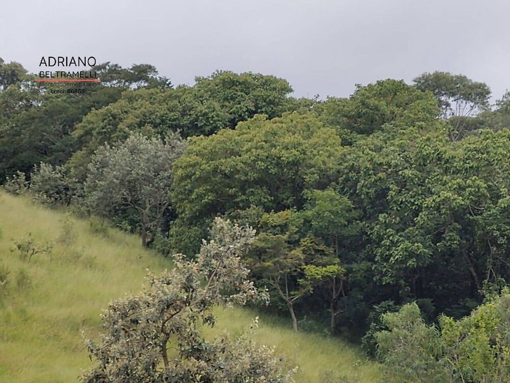 Sítio, 1 quarto, 4 hectares - Foto 4