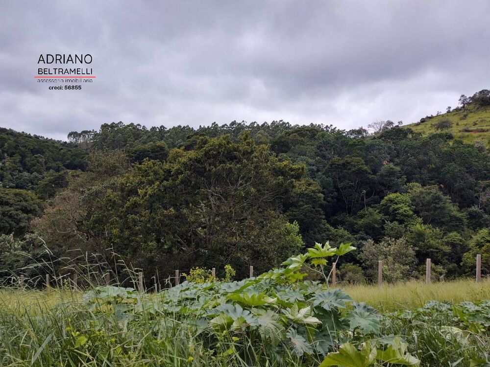 Sítio, 1 quarto, 4 hectares - Foto 7