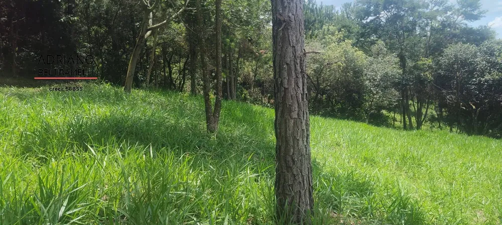 Terreno, 2 hectares - Foto 7