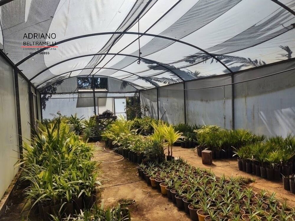 Sítio, 10 quartos, 29 hectares - Foto 19