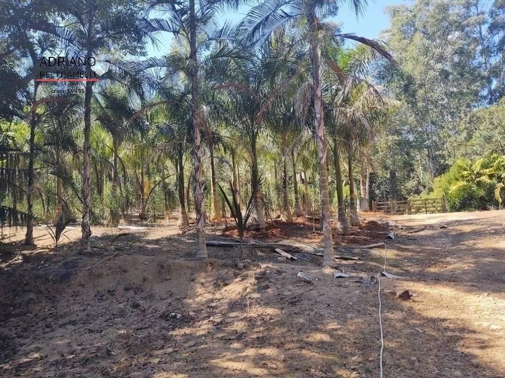 Sítio, 10 quartos, 29 hectares - Foto 26