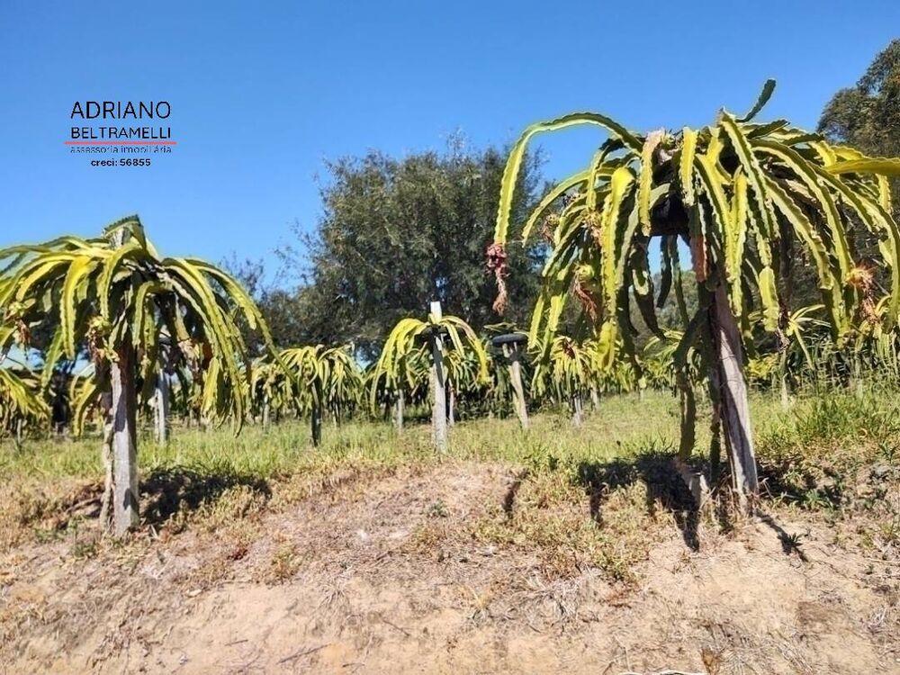 Sítio, 10 quartos, 29 hectares - Foto 22