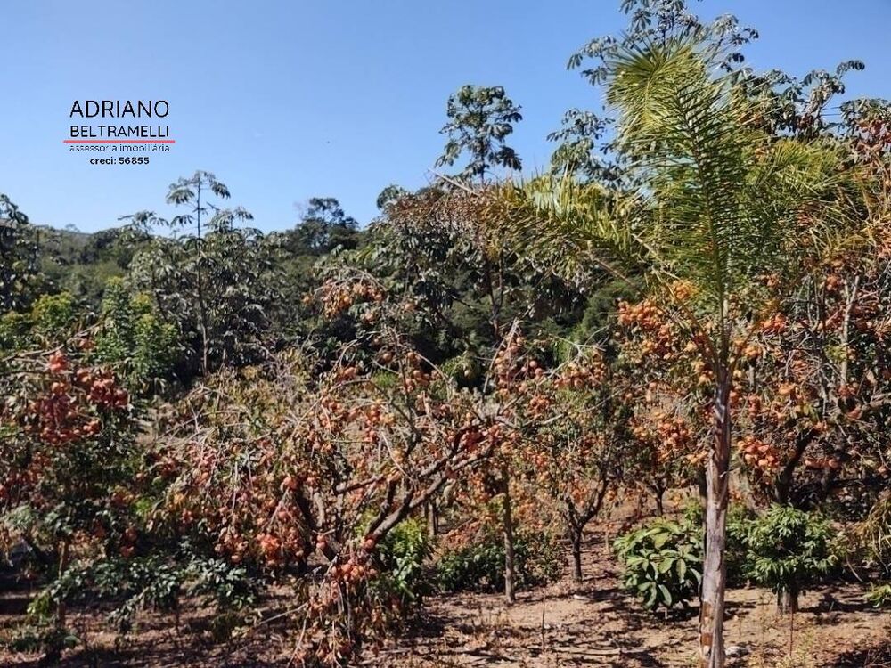 Sítio, 10 quartos, 29 hectares - Foto 23