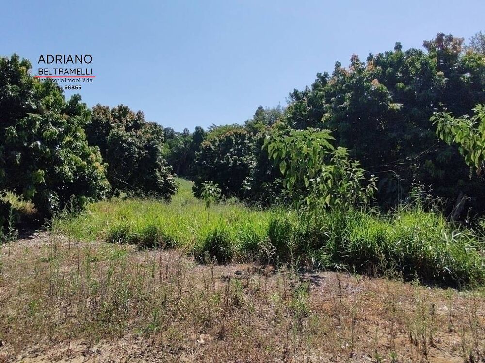 Sítio, 10 quartos, 29 hectares - Foto 21