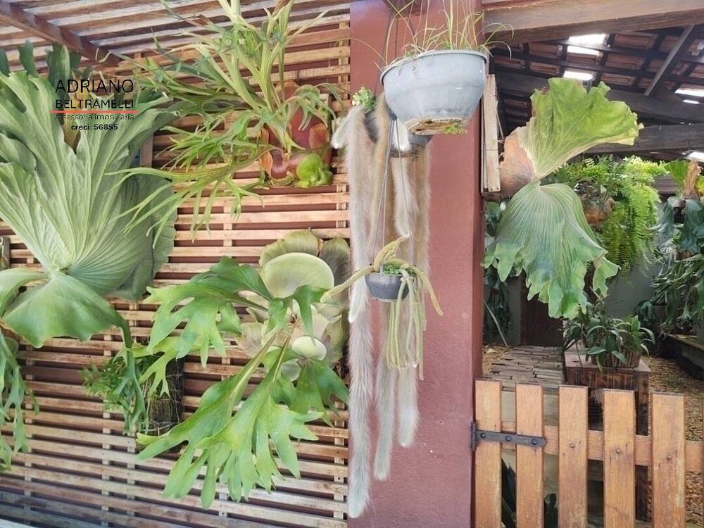 Sítio, 10 quartos, 29 hectares - Foto 14