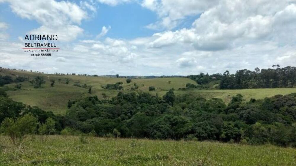 Terreno, 8 hectares - Foto 19