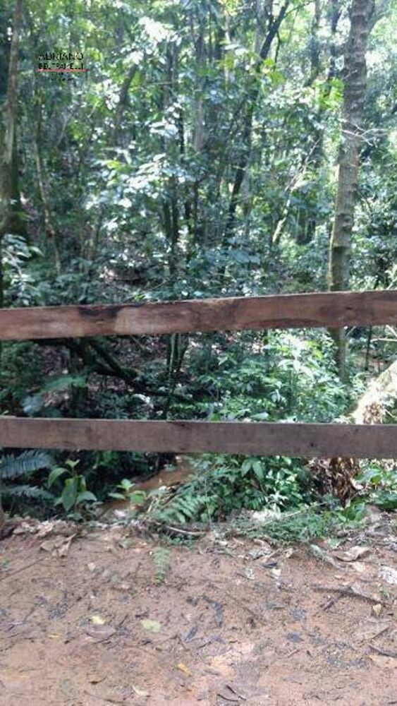 Terreno, 8 hectares - Foto 8