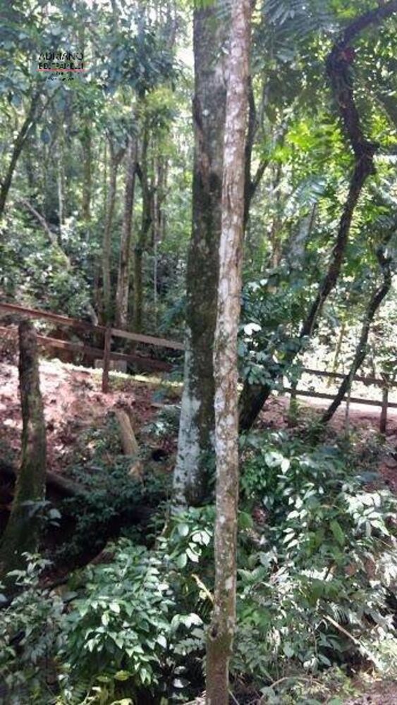 Terreno, 8 hectares - Foto 28