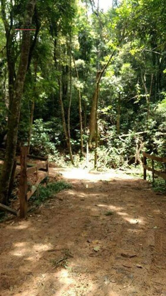 Terreno, 8 hectares - Foto 12