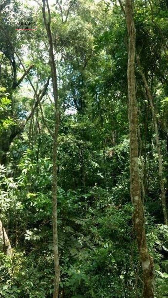 Terreno, 8 hectares - Foto 23