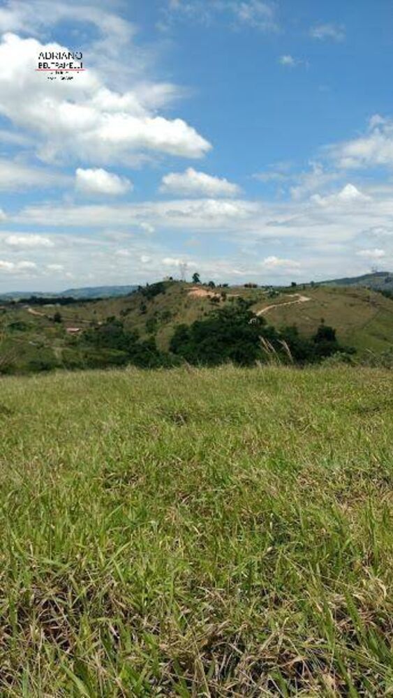 Terreno, 8 hectares - Foto 14