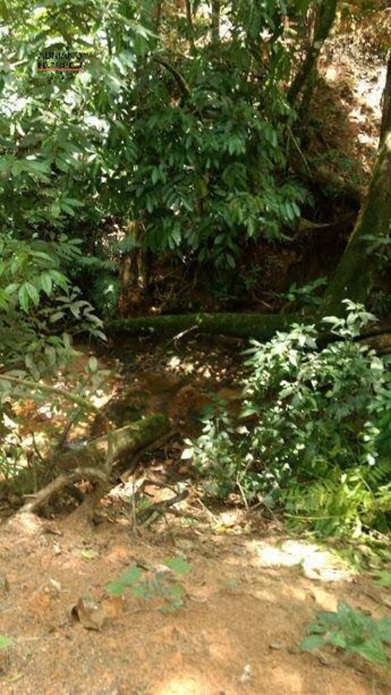 Terreno, 8 hectares - Foto 29