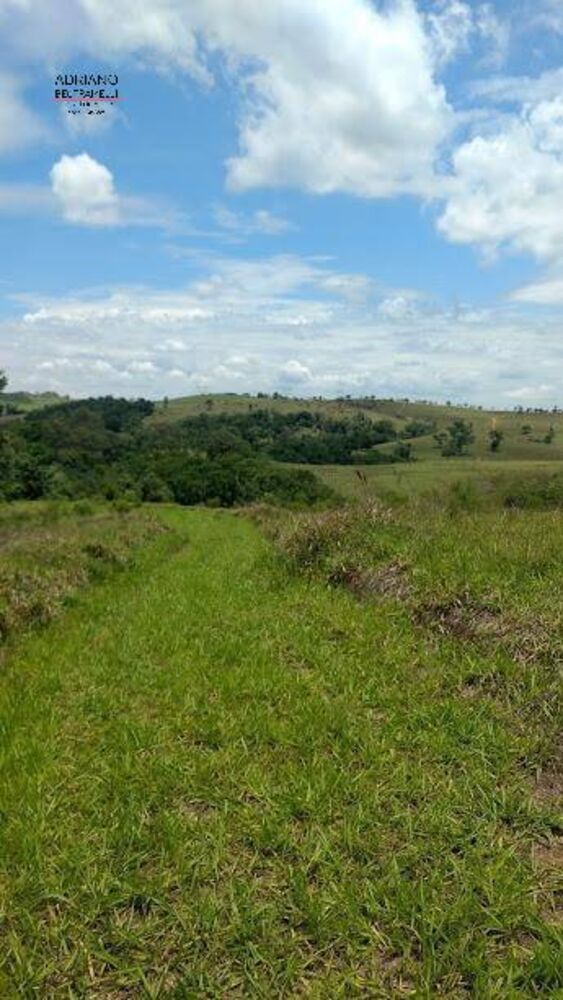 Terreno, 8 hectares - Foto 17