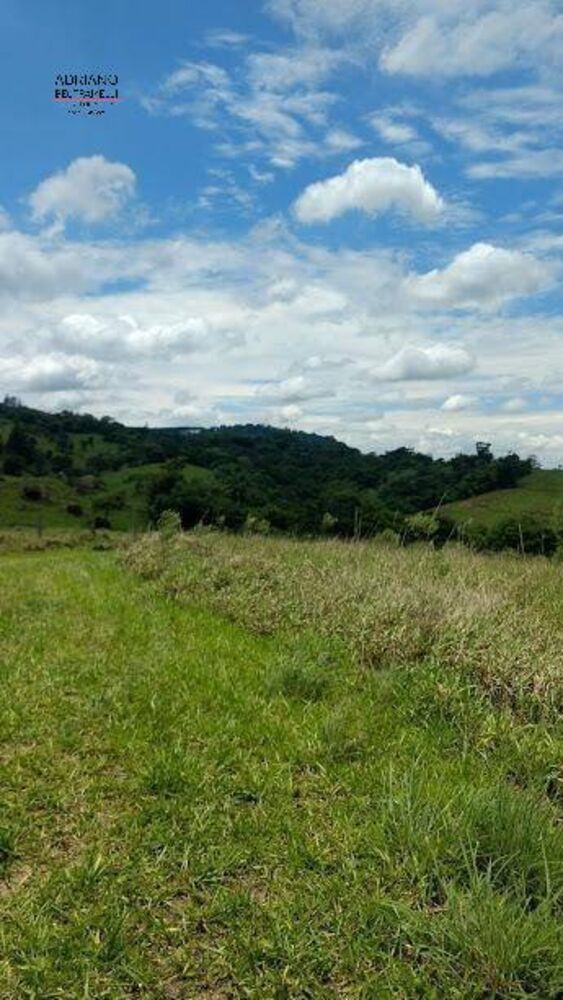Terreno, 8 hectares - Foto 16