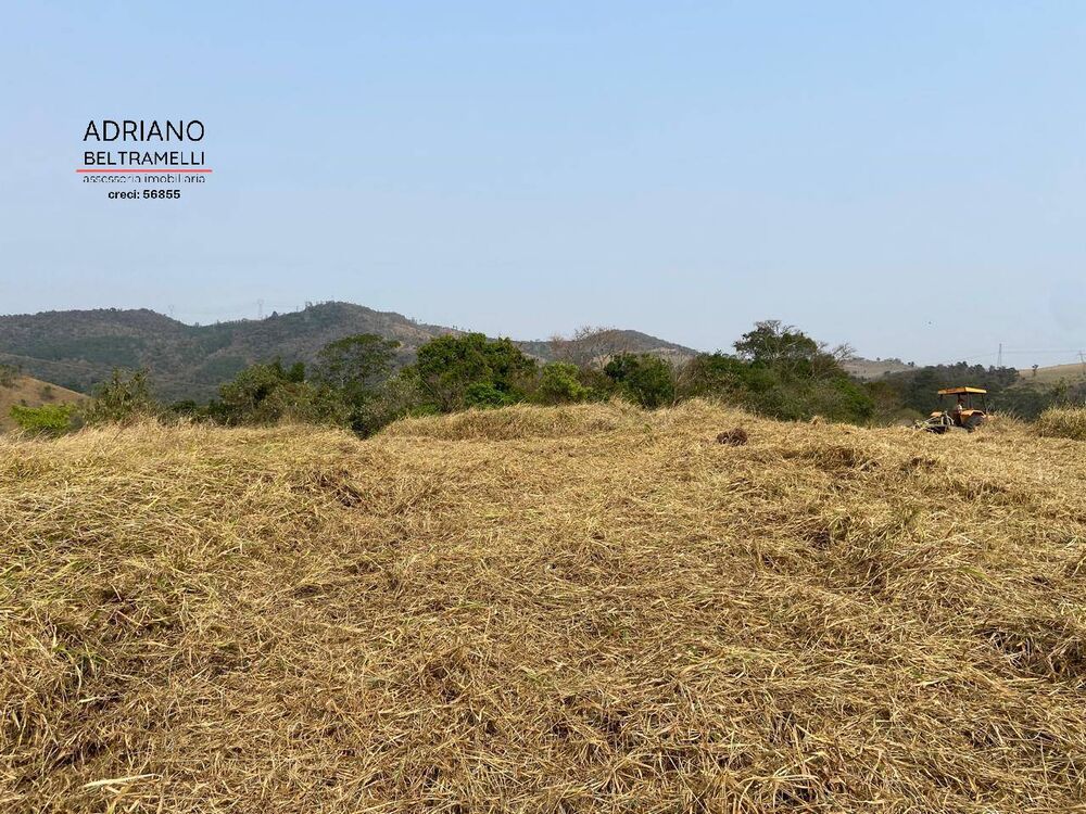 Terreno, 8 hectares - Foto 2