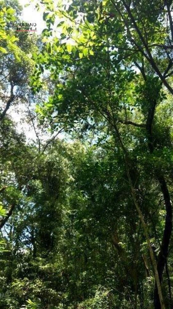 Terreno, 8 hectares - Foto 27